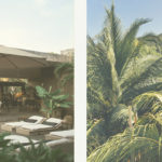 garden design and landscapes around the surfing hotel